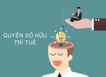 Xử lý xâm phạm quyền SHCN